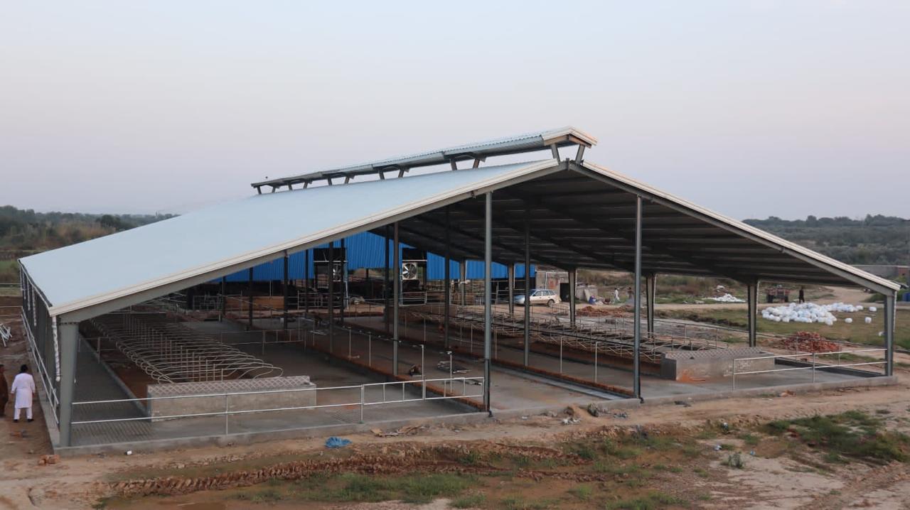Dairy and poultry shed