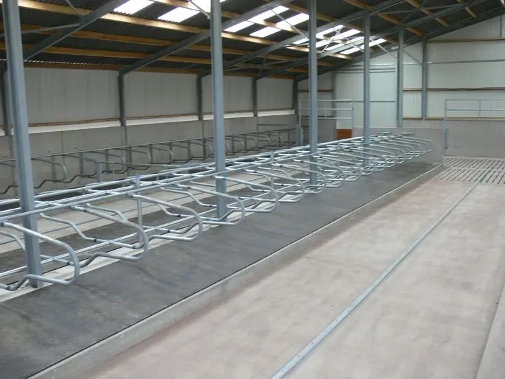 Galvanised cow stalls inside a steel shed